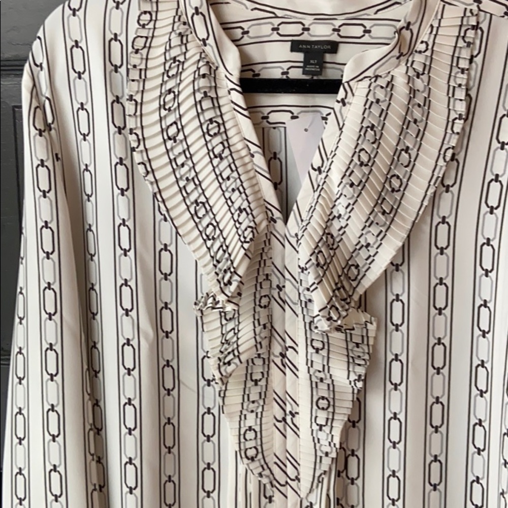 Ann Taylor Long Sleeve Pleated Blouse